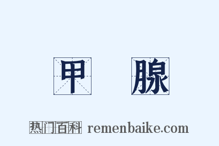 甲狀腺是什么意思的图片